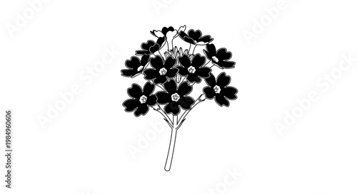 Black and white illustration of flowers.