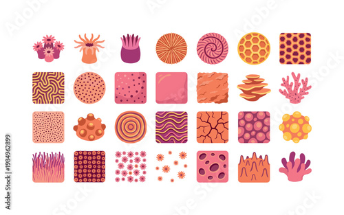 Tropical coral textures and surface patterns like polyps ridges grooves and organic reef structures from living coral colonies