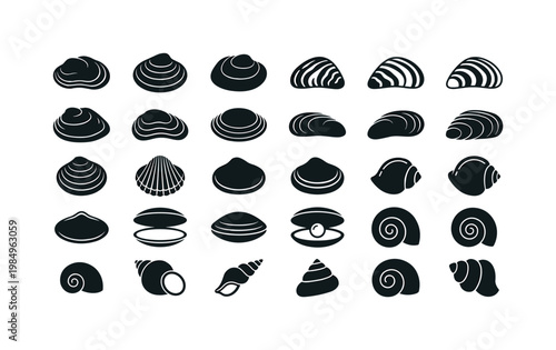 Freshwater shells like river mussels pond clams spiral snail shells and smooth bivalve forms found in lakes and rivers clean solid