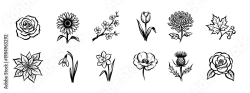 Twelve distinct hand-drawn flower illustrations showcase a beautiful variety of botanical elements, rendered with expressive brushstrokes and a classic artistic style