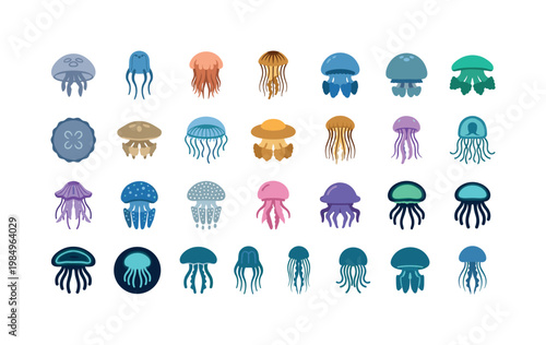 Ocean jellyfish species like moon jelly box jelly lion mane and glowing deep sea medusae drifting gracefully underwater clean