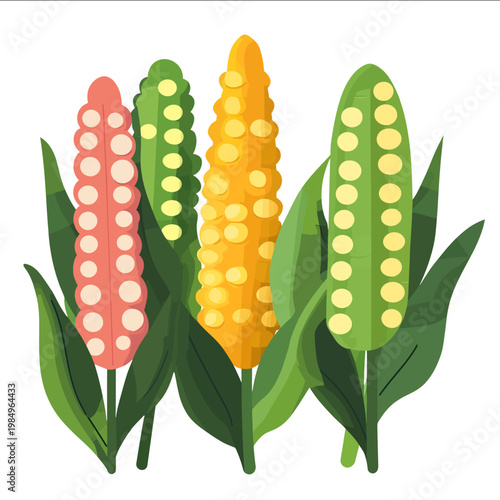 simple vector succotash clipart illustration white background vector art style simple design flat illustration no shadows
