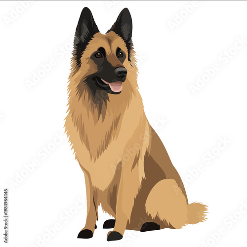simple vector Belgian Tervuren clipart illustration white background vector art style simple design flat illustration no shadows