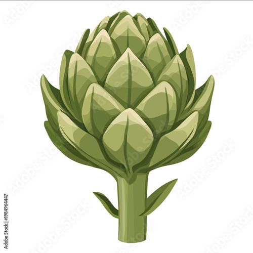 simple vector artichoke clipart illustration white background vector art style simple design flat illustration no shadows