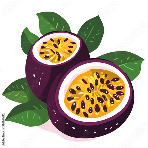 simple vector passion fruit clipart illustration white background vector art style simple design flat illustration no shadows