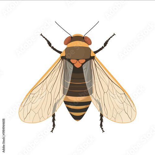 simple vector cicada clipart illustration white background vector art style simple design flat illustration no shadows