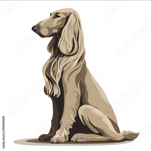 simple vector Afghan Hound clipart illustration white background vector art style simple design flat illustration no shadows