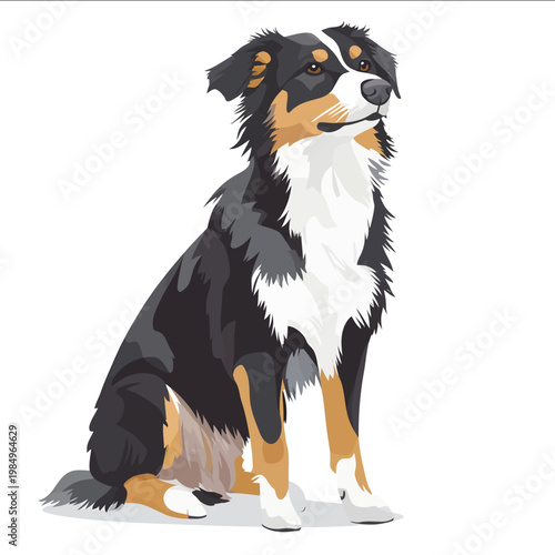 simple vector Australian Shepherd clipart illustration white background vector art style simple design flat illustration no shadows