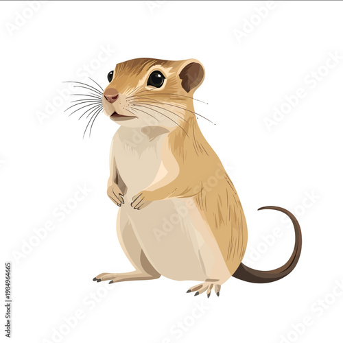 simple vector gerbil clipart illustration white background vector art style simple design flat illustration no shadows