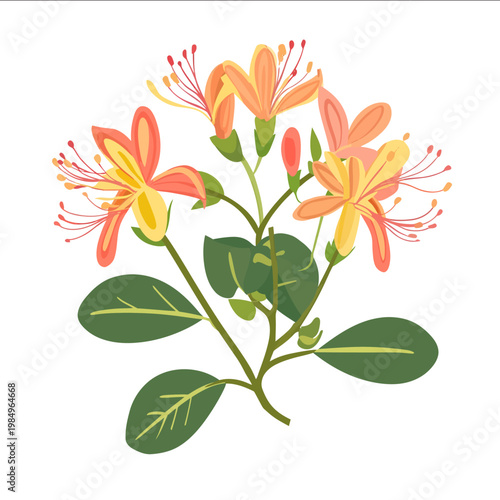 simple vector honeysuckle clipart illustration white background vector art style simple design flat illustration no shadows