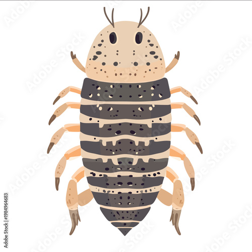simple vector isopod clipart illustration white background vector art style simple design flat illustration no shadows
