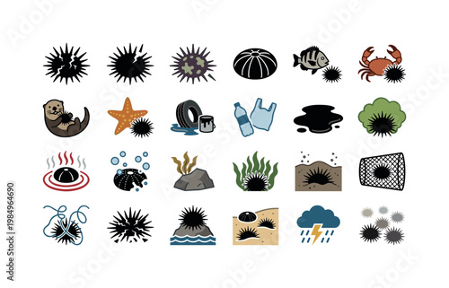 Sea urchin threats and impacts like predators pollution damage and environmental stress affecting urchin populations clean solid