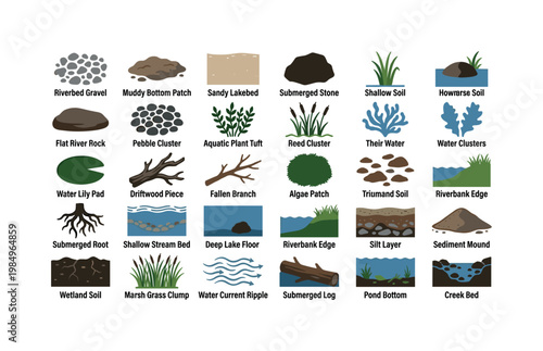 Freshwater shell habitats like riverbeds muddy bottoms stones plants and natural environments where shells are found clean solid