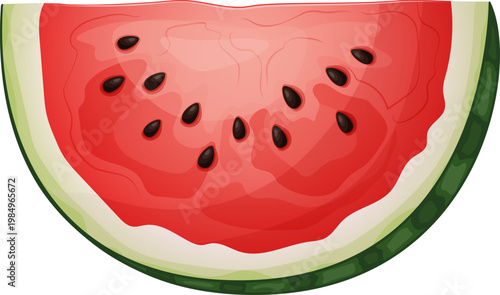 Watermelon slice vector isolated semicircle fruit illustration for food packaging, menu design, and summer branding