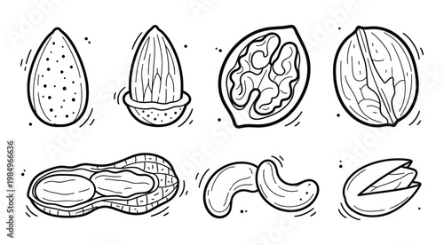 Hand Drawn Nuts Collection with Almond, Walnut, Peanut, Cashew and Pistachio, Outline Sketch, Isolated