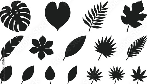 Black silhouettes of various leaves and a heart on white background vector graphic illustration design
