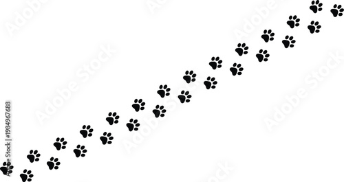 Black paw prints in a diagonal line on white background vector graphic