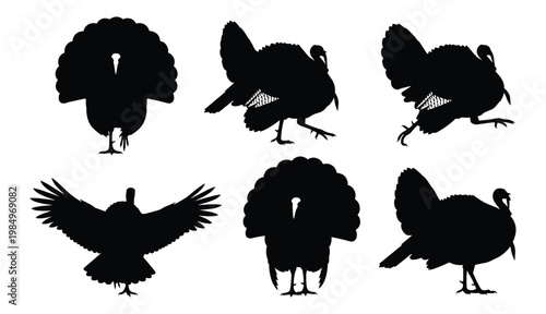 Set of 6 Wild Turkey Silhouettes in Standing, Displaying and Walking Poses, Isolated on White Background