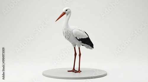 white stork ciconia