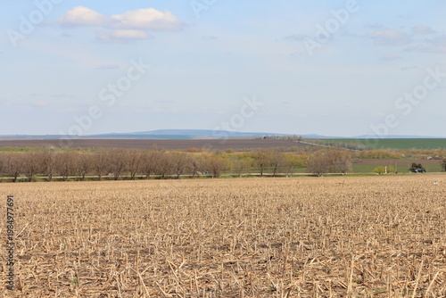A field of dry grass