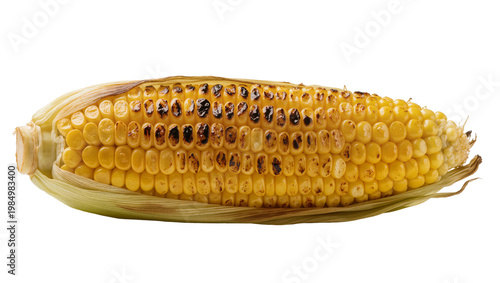Golden grilled corn cob with charred kernels, isolated on transparent background