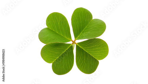 Vibrant green five-leaf clover with detailed veins, isolated on transparent background