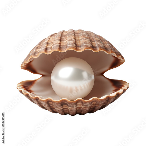 Shiny pearl lying inside open shell covered in nacre inside, isolated on transparent background. Accessories for wedding, classic jewelry. Harvesting pearls craft. Bridal image, Spring Wedding Expo