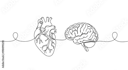 Continuous line art of human heart and brain connection.