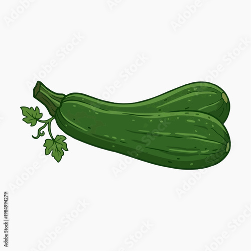Two fresh zucchinis with green leaves, close-up.  isolated on a white background. PNG