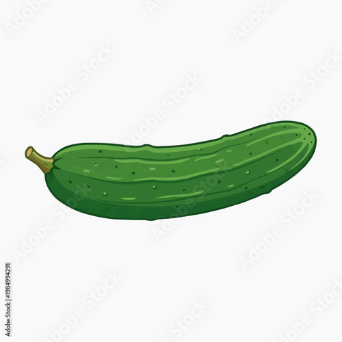 Fresh, green cucumber in full view. isolated on a white background. PNG