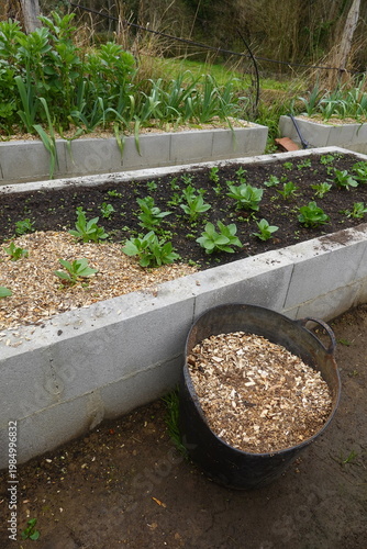 Foto Wood chip mulch in raised garden beds