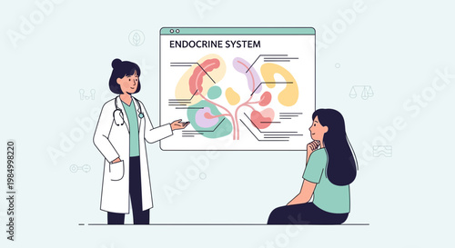 Doctor explains endocrine system to patient, medical illustration