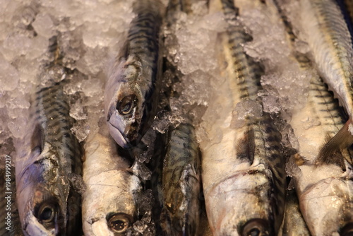 Fresh fish displayed closely together at a Haarlem market.
The image highlights texture and natural seafood details.