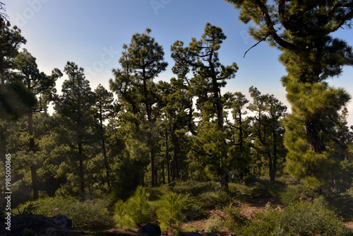 Aktuelle Situation des Klimawandels in Europa