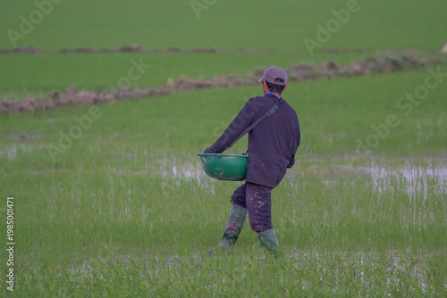 Agricultural Worker Applying Fertilizer by Hand