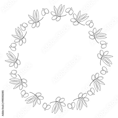 Ornate olive branch wreath in black and white engraving style. Vector botanical frame for vintage branding, wine labels, and classic stationery design.