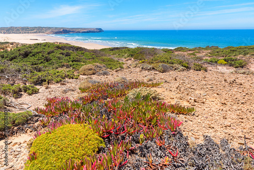 atlantic ocean Algarve coast portugal with mediterranean plants