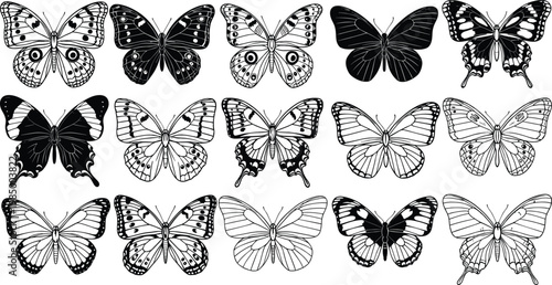 Set of Detailed Butterfly Outline and Silhouette Icons Featuring Various Wing Patterns and Species for Nature Conservation Spring Season and Biological Science Graphic Designs