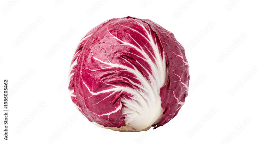 Obraz premium Round radicchio vegetable with vibrant red leaves and white veins, isolated on transparent background