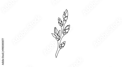 Single stroke spring willow catkin branch sketch in dark contour representing seasonal awakening on transparent background