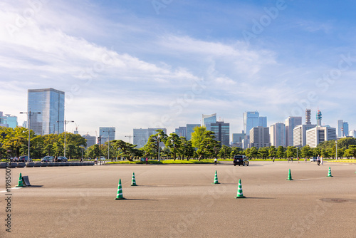 Urban Perspective. Modern office skyscrapers rising behind landscaped park with trimmed pine trees near Imperial Palace in Tokyo. Japan
