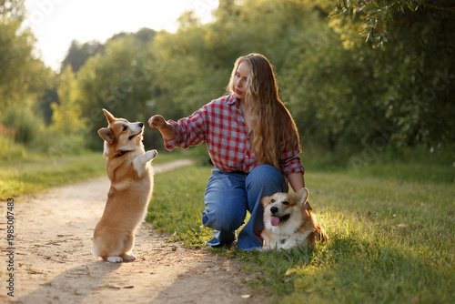 Young Caucasian Woman Training Corgi On Trail, Kneeling And Offering Treat While Dog Stands Tall, Golden Hour Backlight, Encouraging Posture, Dynamic Bond, Outdoor Exercise Scene