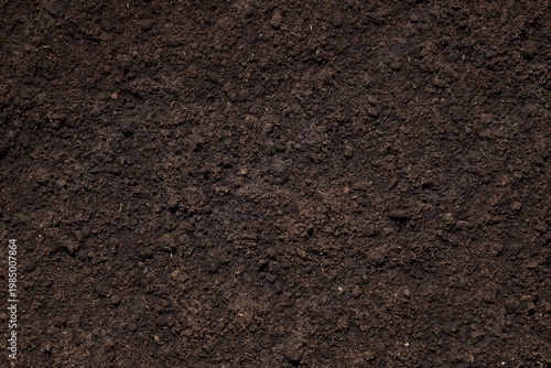 Texture of fresh soil as background, top view