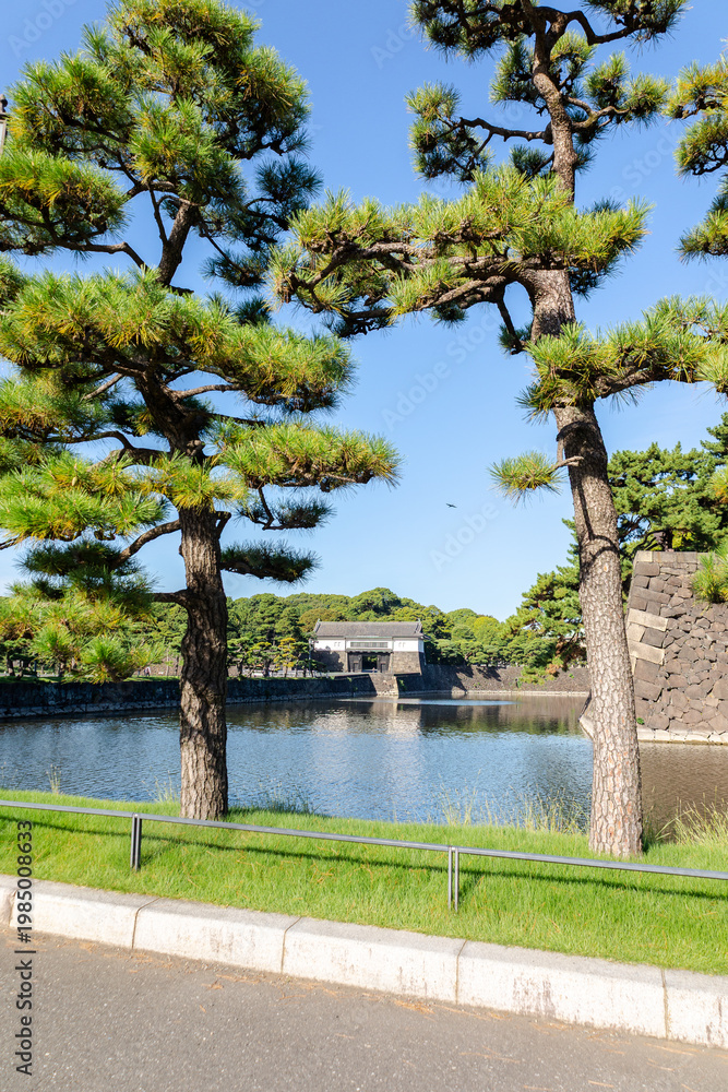 Obraz premium Imperial Palace moat and traditional watchtower in Tokyo Japan 