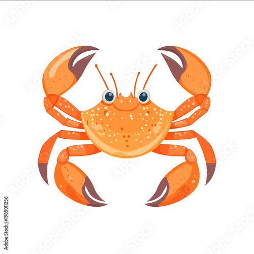 simple vector king crab clipart illustration white background vector art style simple design flat illustration no shadows