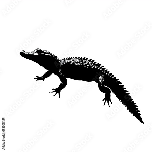 black silhouette caiman on a white backgrounk vector