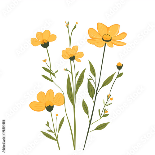 simple vector tickseed clipart illustration white background vector art style simple design flat illustration no shadows