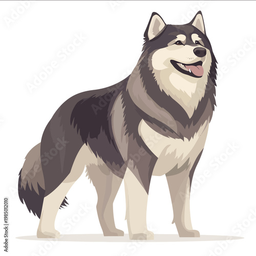 illustration Alaskan malamute vector style flat illustration isolated on white background