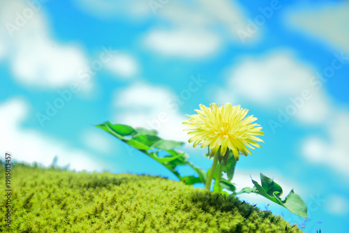 コケにタンポポの花
