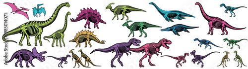 Colorful Vector Comic Dinosaur Set Isolated on White : Various Prehistoric Species and Animals